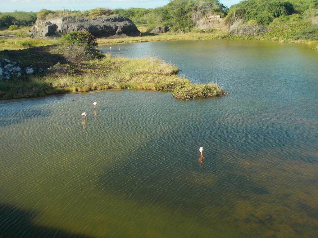 Paraiso De Isabela Puerto Villamil Exterior foto